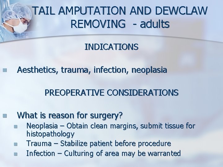 TAIL AMPUTATION AND DEWCLAW REMOVING - adults INDICATIONS n Aesthetics, trauma, infection, neoplasia PREOPERATIVE TAIL AMPUTATION AND DEWCLAW REMOVING - adults INDICATIONS n Aesthetics, trauma, infection, neoplasia PREOPERATIVE