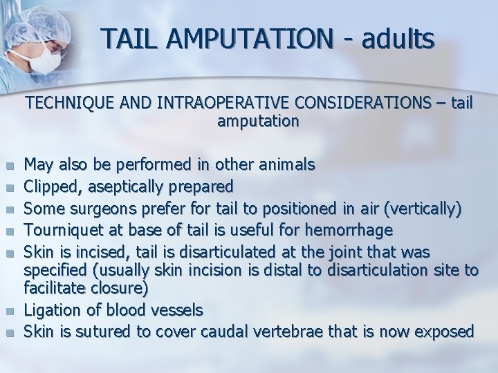 TAIL AMPUTATION - adults TECHNIQUE AND INTRAOPERATIVE CONSIDERATIONS – tail amputation n n n TAIL AMPUTATION - adults TECHNIQUE AND INTRAOPERATIVE CONSIDERATIONS – tail amputation n n n