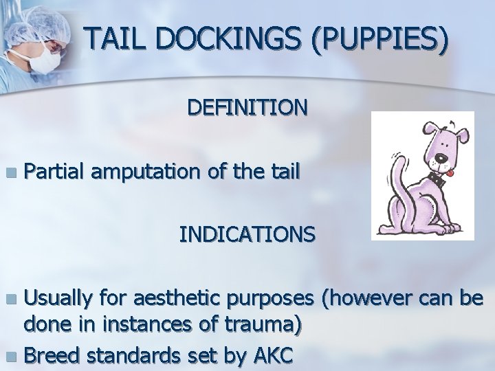 TAIL DOCKINGS (PUPPIES) DEFINITION n Partial amputation of the tail INDICATIONS Usually for aesthetic TAIL DOCKINGS (PUPPIES) DEFINITION n Partial amputation of the tail INDICATIONS Usually for aesthetic
