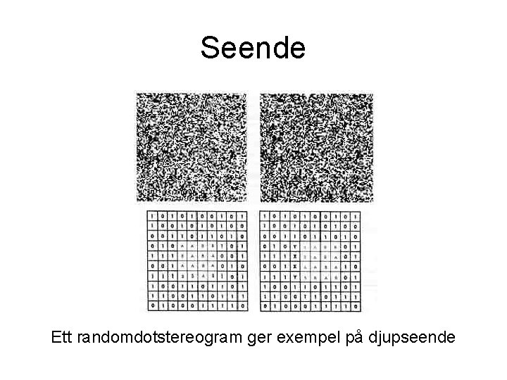 Seende Ett randomdotstereogram ger exempel på djupseende Seende Ett randomdotstereogram ger exempel på djupseende
