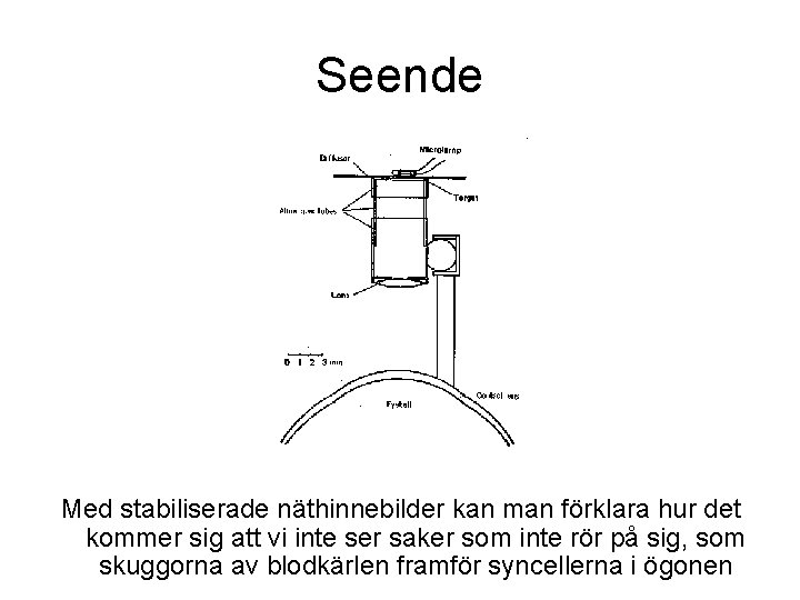Seende Med stabiliserade näthinnebilder kan man förklara hur det kommer sig att vi inte Seende Med stabiliserade näthinnebilder kan man förklara hur det kommer sig att vi inte