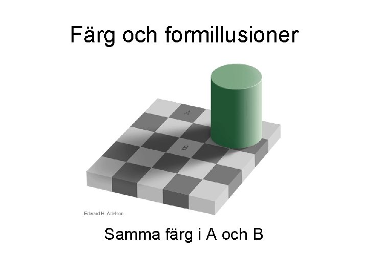 Färg och formillusioner Samma färg i A och B Färg och formillusioner Samma färg i A och B
