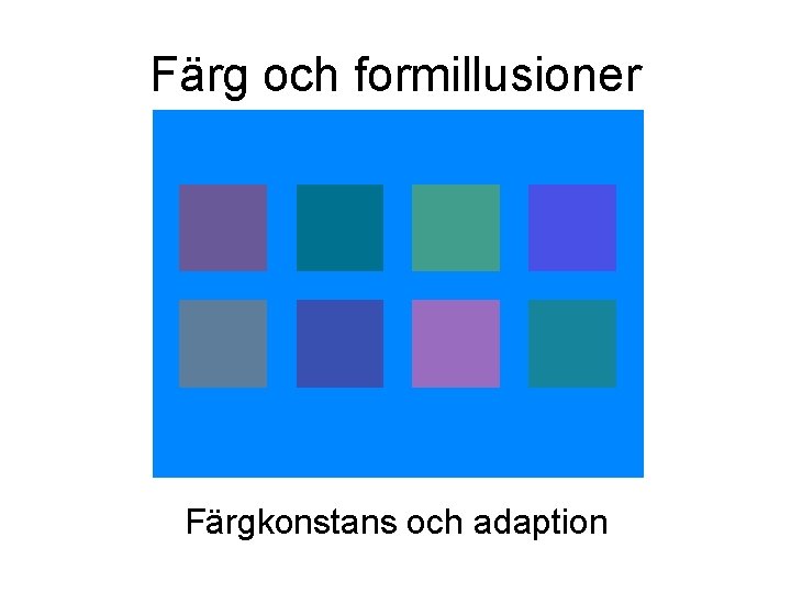 Färg och formillusioner Färgkonstans och adaption Färg och formillusioner Färgkonstans och adaption