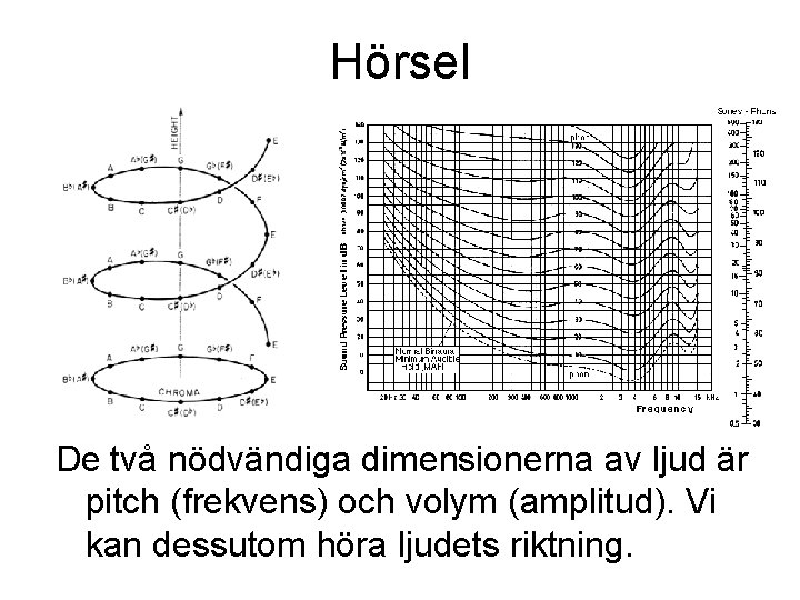 Hörsel De två nödvändiga dimensionerna av ljud är pitch (frekvens) och volym (amplitud). Vi Hörsel De två nödvändiga dimensionerna av ljud är pitch (frekvens) och volym (amplitud). Vi