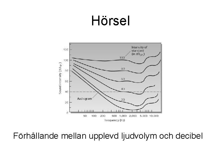 Hörsel Förhållande mellan upplevd ljudvolym och decibel Hörsel Förhållande mellan upplevd ljudvolym och decibel