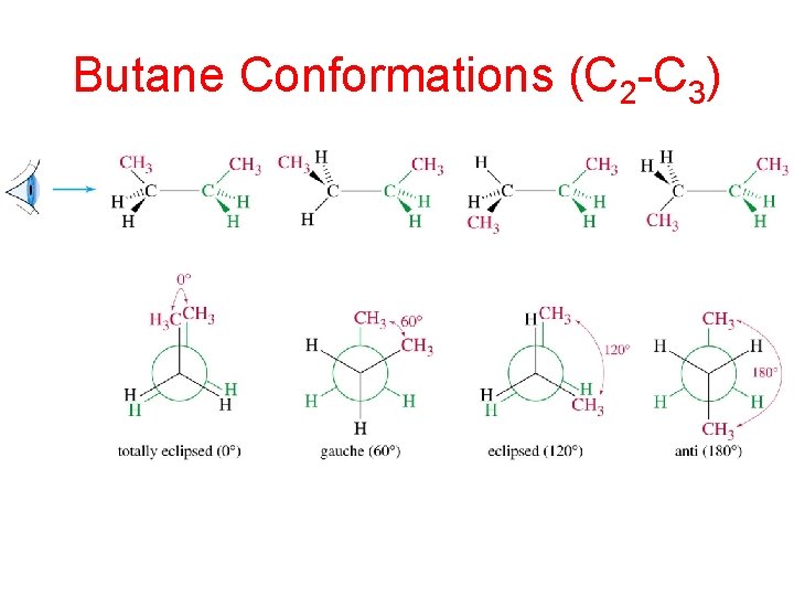 Butane Conformations (C 2 -C 3) 