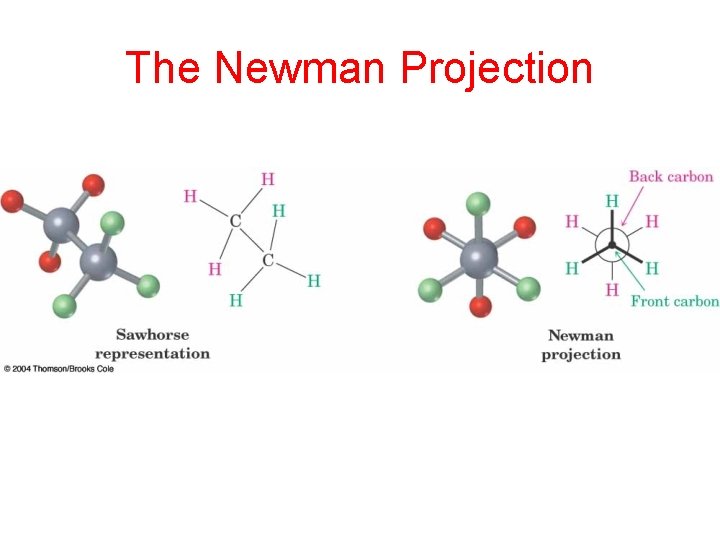 The Newman Projection 