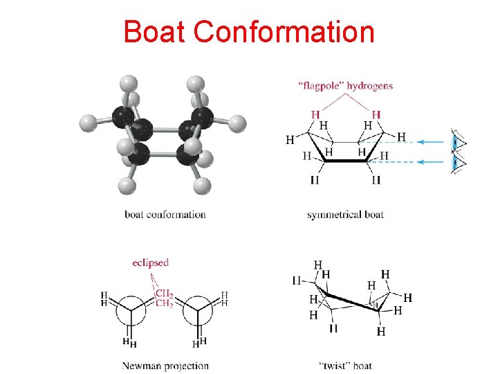 Boat Conformation 