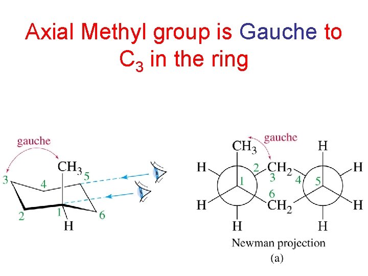 Axial Methyl group is Gauche to C 3 in the ring 