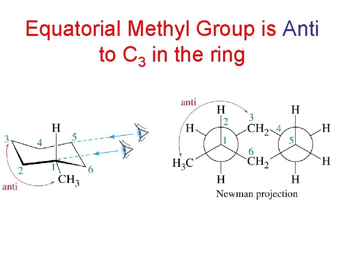 Equatorial Methyl Group is Anti to C 3 in the ring 