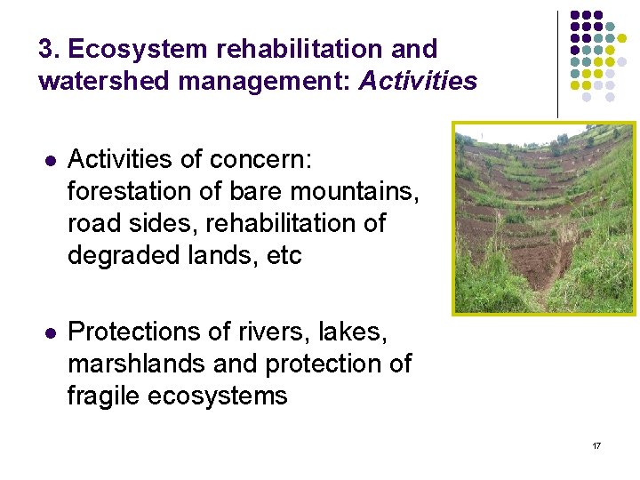 3. Ecosystem rehabilitation and watershed management: Activities l Activities of concern: forestation of bare