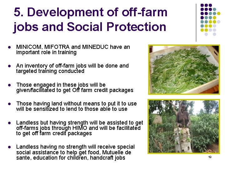 5. Development of off-farm jobs and Social Protection l MINICOM, MIFOTRA and MINEDUC have