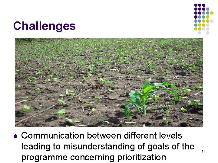 Challenges l Communication between different levels leading to misunderstanding of goals of the programme