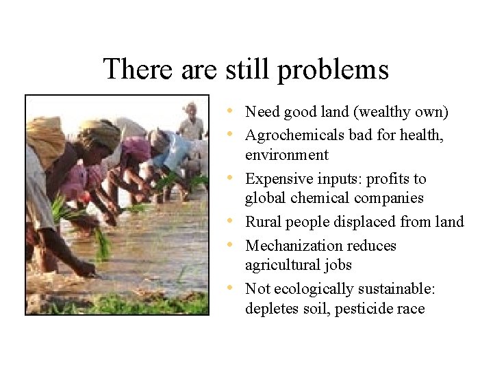 There are still problems • Need good land (wealthy own) • Agrochemicals bad for