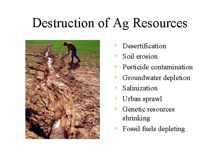 Destruction of Ag Resources • • Desertification Soil erosion Pesticide contamination Groundwater depletion Salinization