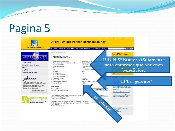 Pagina 5 D-U-N-S® Numero (Solamente para empresas que obtienen beneficios) El/La „gerente“ el si