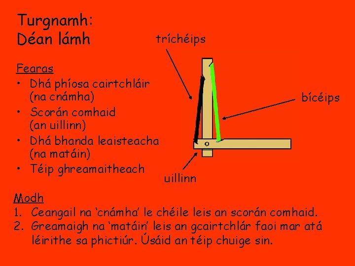 Turgnamh: Déan lámh tríchéips Fearas • Dhá phíosa cairtchláir (na cnámha) • Scorán comhaid