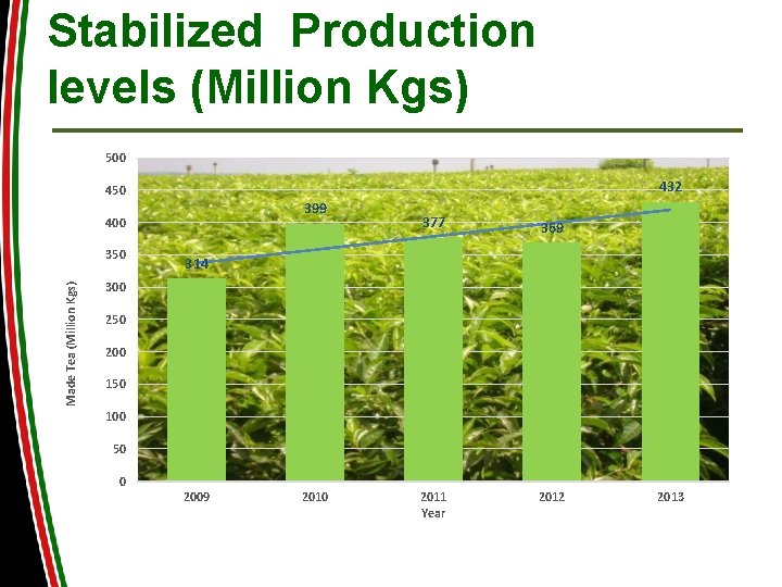 Stabilized Production levels (Million Kgs) 500 432 450 399 400 Made Tea (Million Kgs)