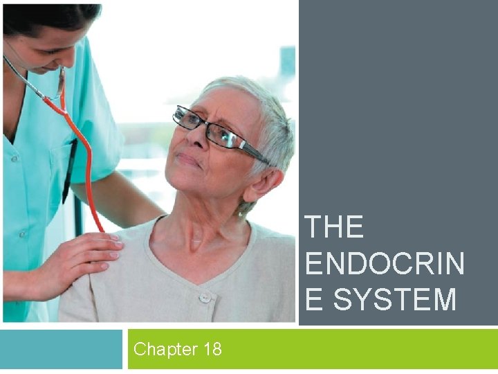 THE ENDOCRIN E SYSTEM Chapter 18 