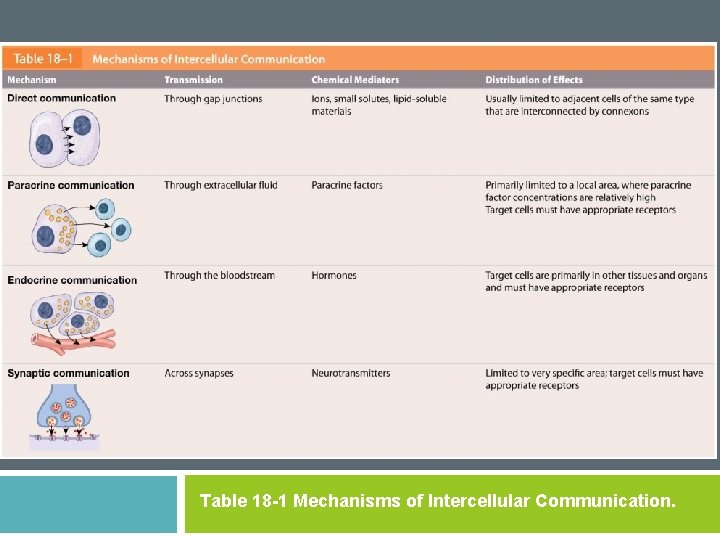 Table 18 -1 Mechanisms of Intercellular Communication. 