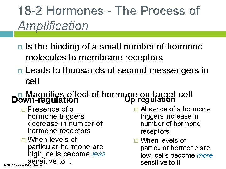 18 -2 Hormones - The Process of Amplification Is the binding of a small