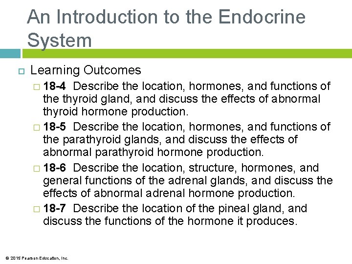 An Introduction to the Endocrine System Learning Outcomes � 18 -4 Describe the location,