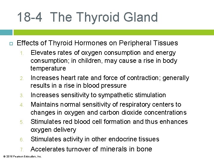 18 -4 The Thyroid Gland Effects of Thyroid Hormones on Peripheral Tissues 6. Elevates