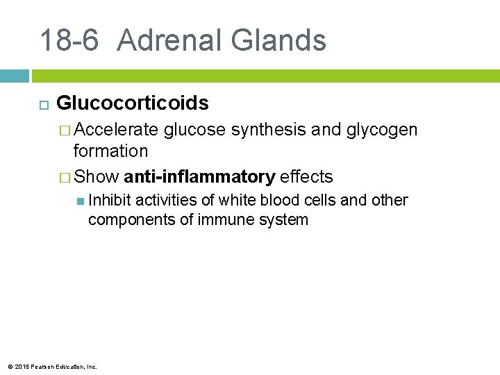 18 -6 Adrenal Glands Glucocorticoids � Accelerate glucose synthesis and glycogen formation � Show