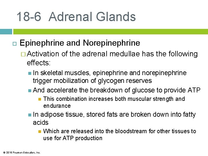 18 -6 Adrenal Glands Epinephrine and Norepinephrine � Activation of the adrenal medullae has