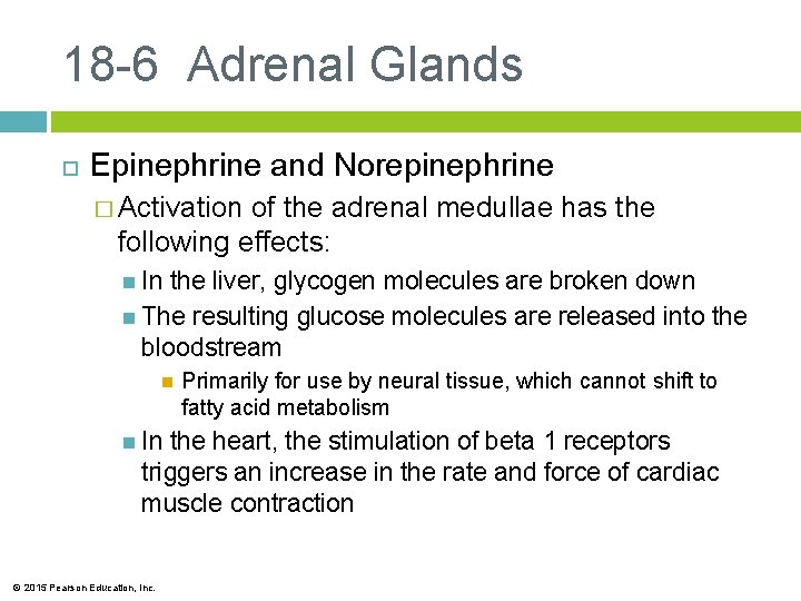 18 -6 Adrenal Glands Epinephrine and Norepinephrine � Activation of the adrenal medullae has