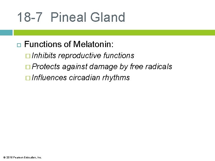 18 -7 Pineal Gland Functions of Melatonin: � Inhibits reproductive functions � Protects against