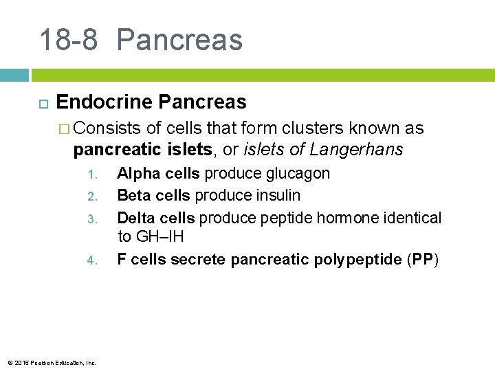 18 -8 Pancreas Endocrine Pancreas � Consists of cells that form clusters known as