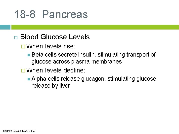 18 -8 Pancreas Blood Glucose Levels � When levels rise: Beta cells secrete insulin,