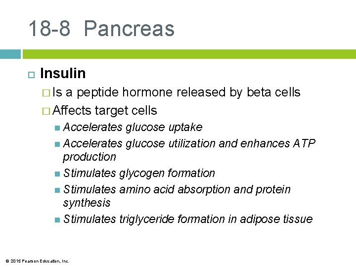 18 -8 Pancreas Insulin � Is a peptide hormone released by beta cells �