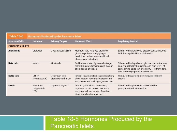 Table 18 -5 Hormones Produced by the Pancreatic Islets. 