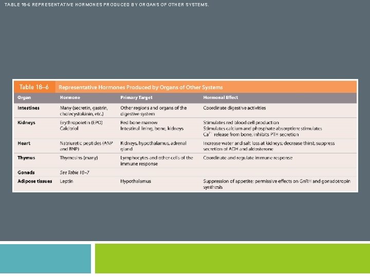 TABLE 18 -6 REPRESENTATIVE HORMONES PRODUCED BY ORGANS OF OTHER SYSTEMS. 