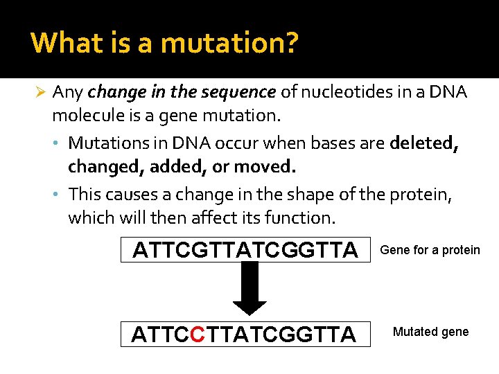 What is a mutation? Ø Any change in the sequence of nucleotides in a