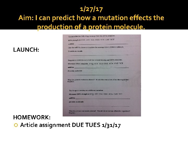 1/27/17 Aim: I can predict how a mutation effects the production of a protein