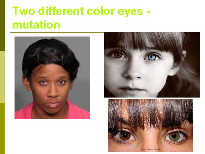 Two different color eyes mutation 