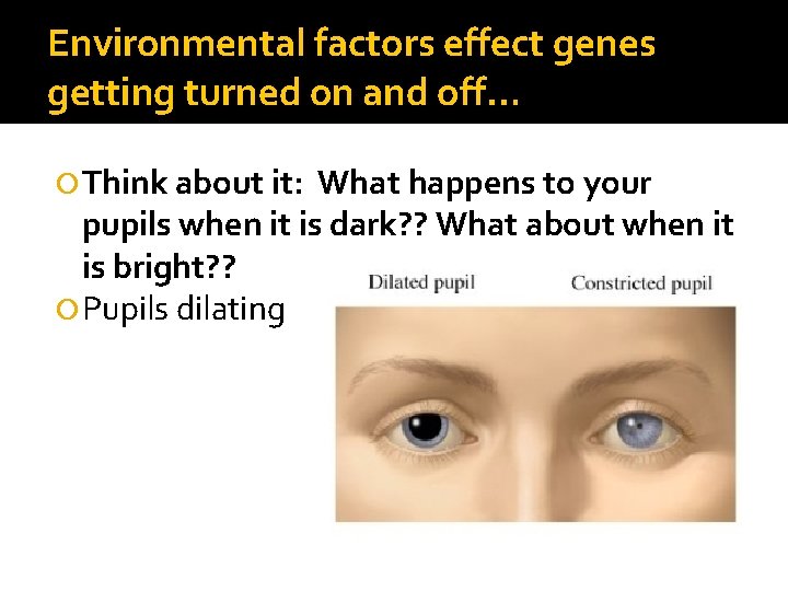 Environmental factors effect genes getting turned on and off… Think about it: What happens