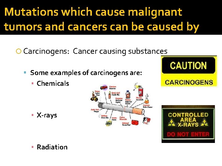 Mutations which cause malignant tumors and cancers can be caused by Carcinogens: Cancer causing