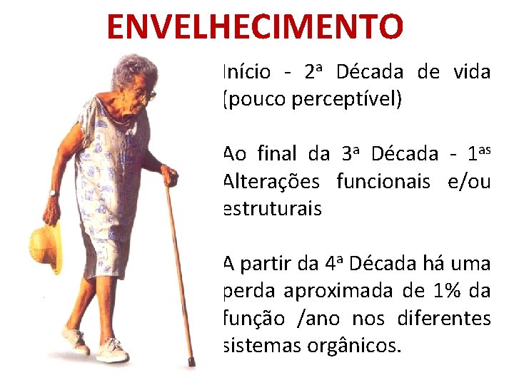 ENVELHECIMENTO Início - 2 a Década de vida (pouco perceptível) Ao final da 3