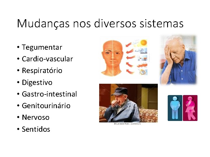 Mudanças nos diversos sistemas • Tegumentar • Cardio-vascular • Respiratório • Digestivo • Gastro-intestinal