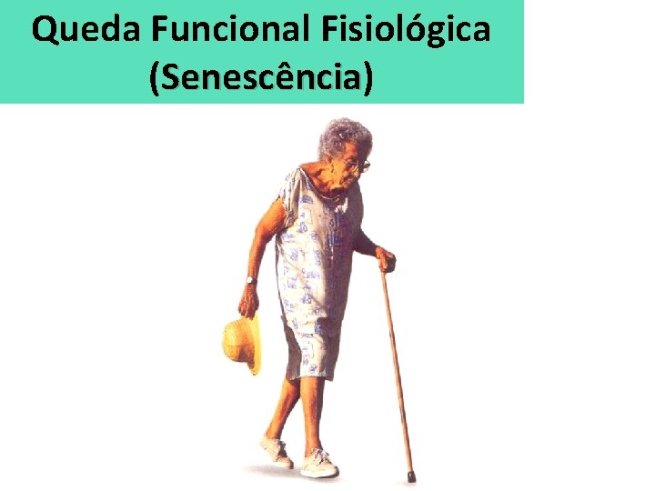 Queda Funcional Fisiológica (Senescência) Senescência 