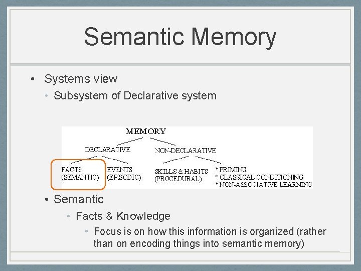 Semantic Memory • Systems view • Subsystem of Declarative system • Semantic • Facts