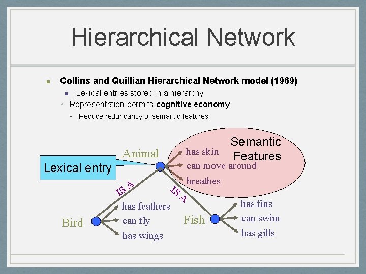 Hierarchical Network n Collins and Quillian Hierarchical Network model (1969) Lexical entries stored in