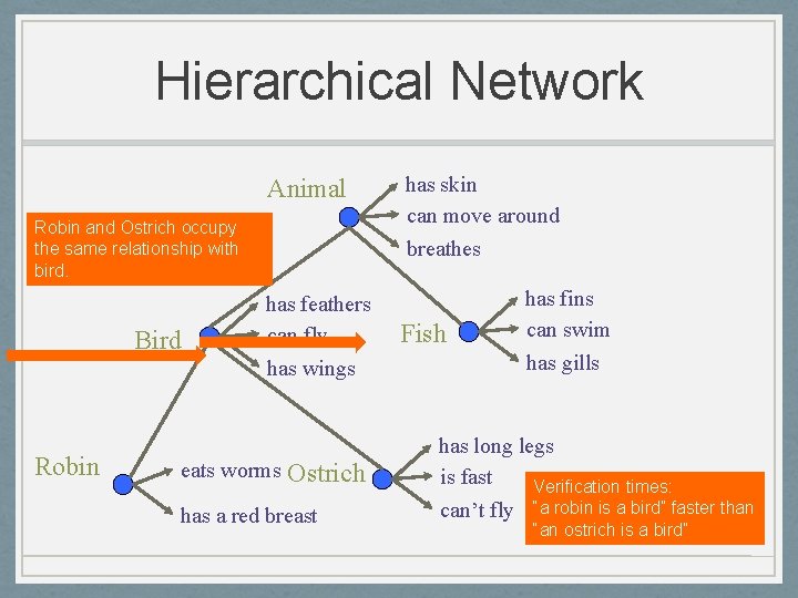 Hierarchical Network Animal Robin and Ostrich occupy the same relationship with bird. Bird Robin