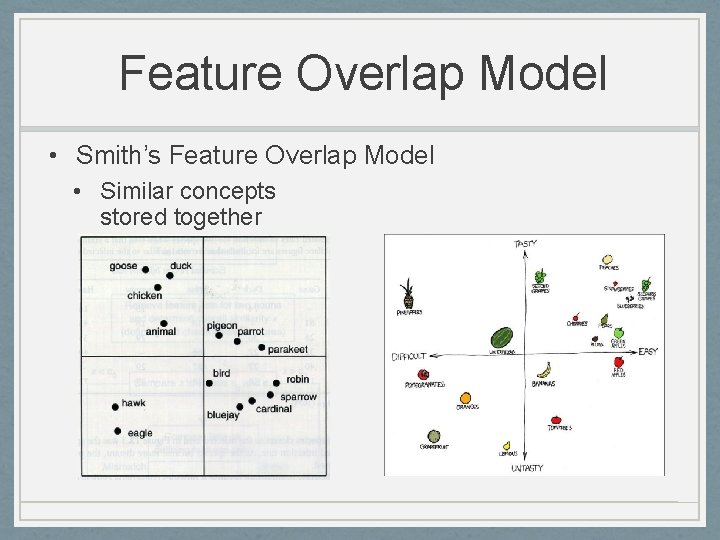 Feature Overlap Model • Smith’s Feature Overlap Model • Similar concepts stored together 