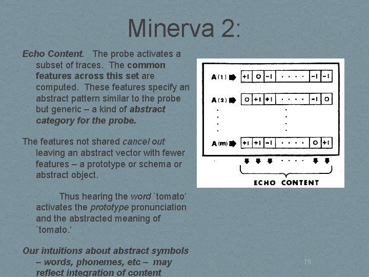 Minerva 2: Echo Content. The probe activates a subset of traces. The common features