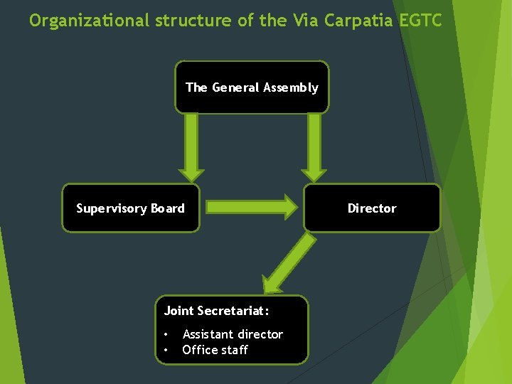 Organizational structure of the Via Carpatia EGTC The General Assembly Supervisory Board Joint Secretariat: